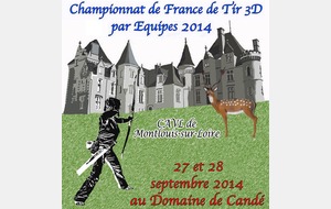 Championnat de France par Equipe de Club de Tir 3D