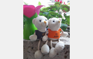 La Chaine de l'Espoir