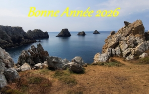 Bonne Année 2026