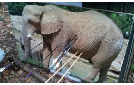 Trés beau Championnat Départemental Nature