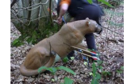 Championnat Régional de Tir 3D