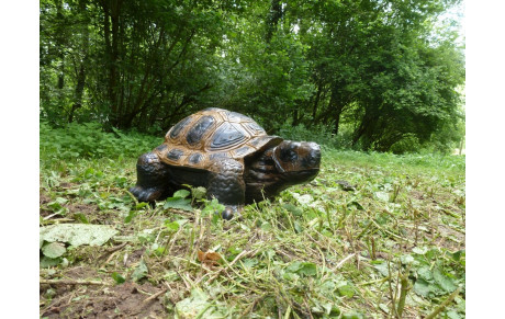 Final 1200 Flèches 2019